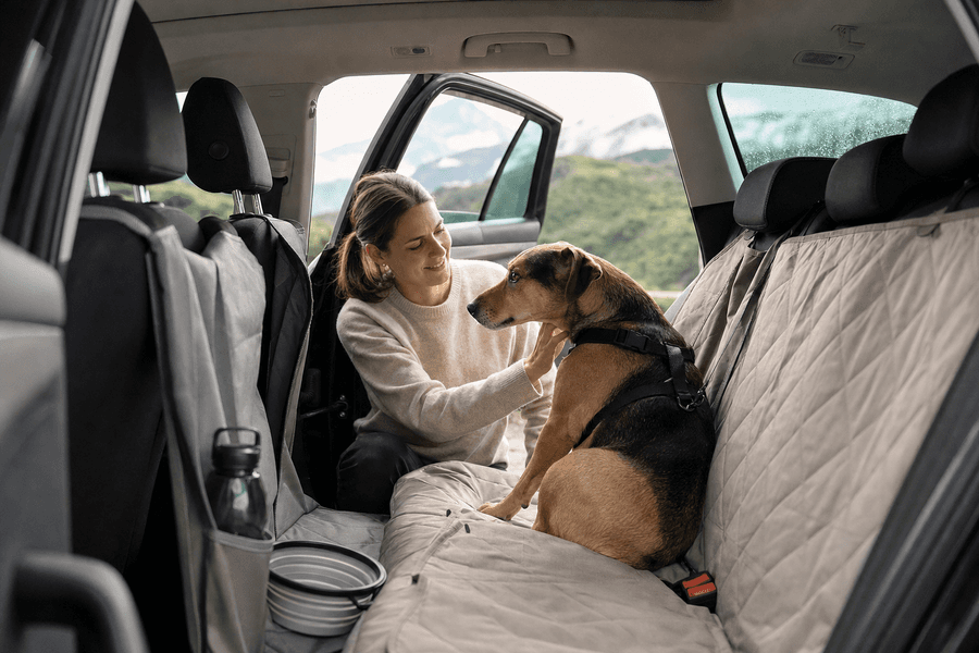 Viaja con tu mascota sin sorpresas: prepara el coche, fundas, ventila, planea paradas y sujeta al animal; controla olores y cuida la limpieza.